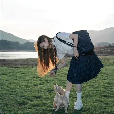 29片棕榈叶